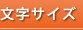 文字サイズ
